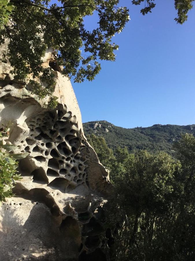 La Casa Di Sara Daire Nuoro  Dış mekan fotoğraf